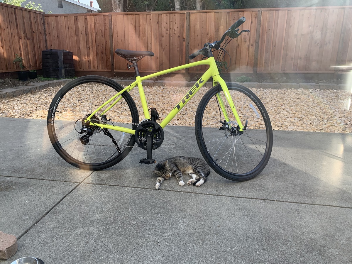 Bike photo