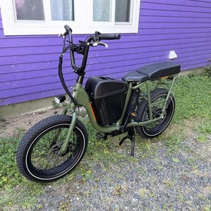 2021 Rad Power Bikes RadRunner Green