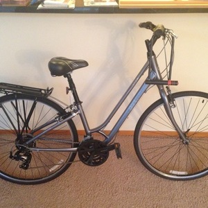 2013 Giant Cypress DX W Silver or Gray