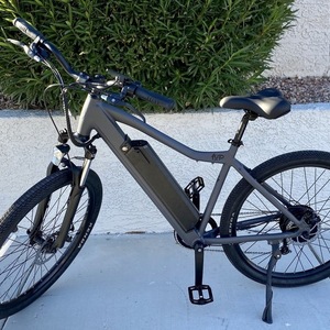 2020 Ride 1up 500 Series Black