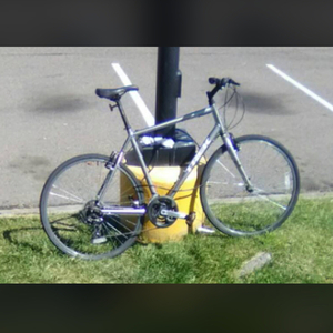 2016 Trek 7.0FX Silver, gray or bare metal