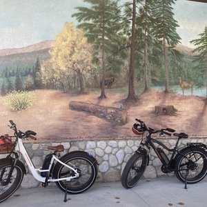 2019 Rad Power Bikes Radrover electric fat bike Black
