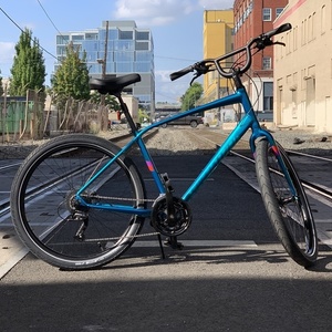 2019 Specialized Roll Elite Teal