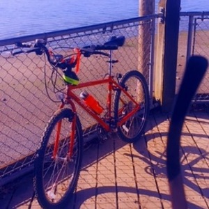 Specialized Rockhopper A1 Comp FS Red
