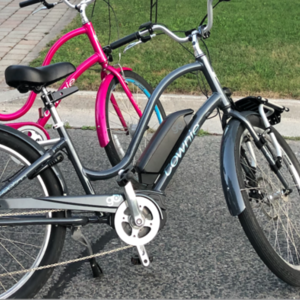2019 Electra 8D Silver, gray or bare metal and Blue