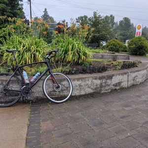2014 Specialized Secteur Sport Disc Black
