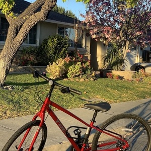2021 Trek Verve disc 2 Red