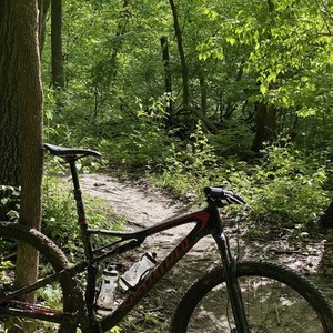 2019 Specialized Epic Black and Red