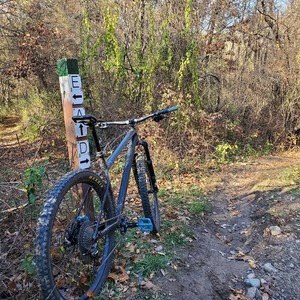 2020 Specialized Fuse Black