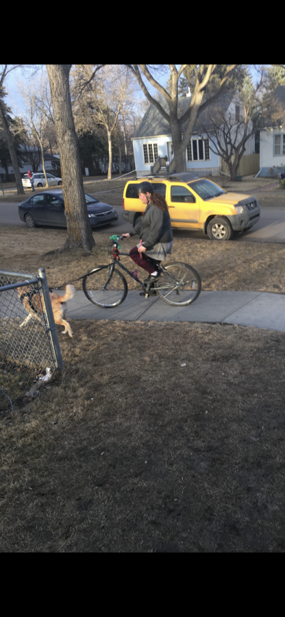 Bike photo