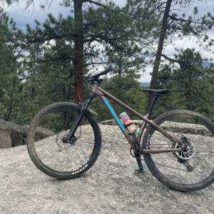 2020 Santa Cruz Chameleon Brown