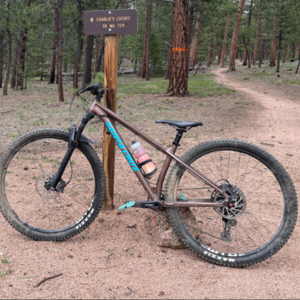 2020 Santa Cruz Chameleon Brown