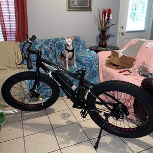 Ecotric Ecotric 26” Fat tire Beach/Snow Ebike Black