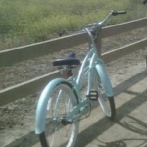 2010 Firmstrong Urban 26" 3 Speed (Women's) Teal