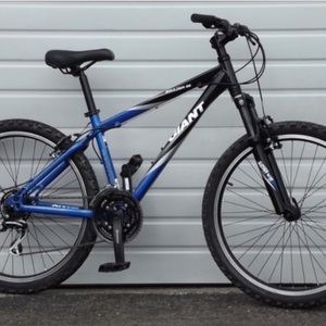 Giant Boulder SE Blue and Black