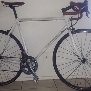 2010 Raleigh Record Ace White
