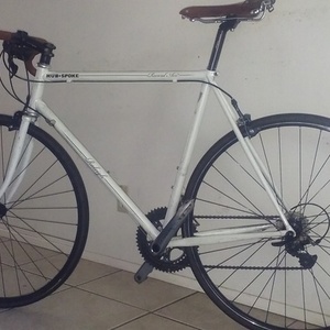 2010 Raleigh Record Ace White