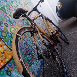 Schwinn Brown