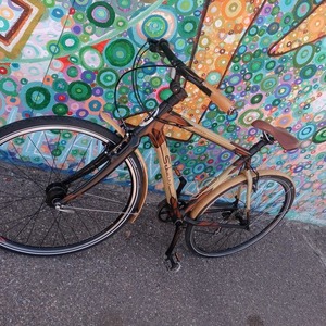 Schwinn Brown