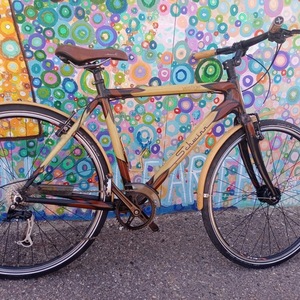 Schwinn Brown
