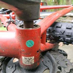 Diamondback 29er Red