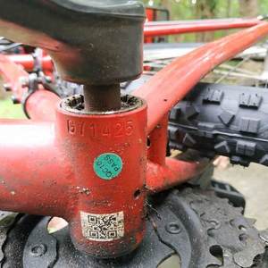 Diamondback 29er Red