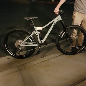2021 Giant Embolden 2 Silver, gray or bare metal