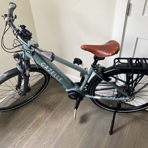 2021 Gazelle Medeo T10+ Green