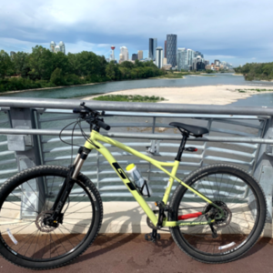 2020 GT Bicycles GT avalanche Elite