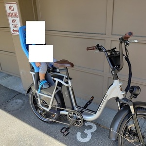 2021 Rad Power Bikes RadRunner plus Silver, gray or bare metal