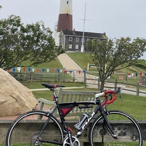 Fuji Roubaix Black