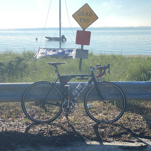 Fuji Roubaix Black