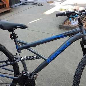 2020 Supercycle Blue