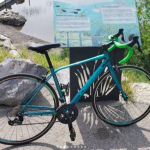 Orbea Teal and Green