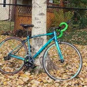 Orbea Teal and Green