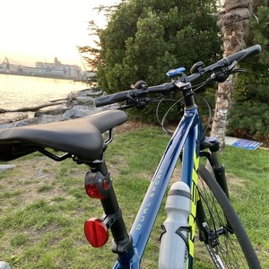 2021 Trek Dual Sport 2 Blue and Green