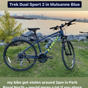 2021 Trek Dual Sport 2 Blue and Green