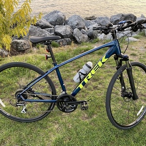 2021 Trek Dual Sport 2 Blue and Green