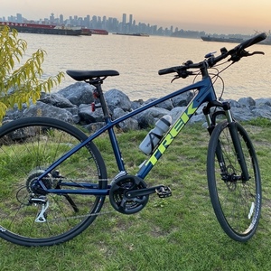 2021 Trek Dual Sport 2 Blue and Green