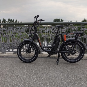 2019 Rad Power Bikes Rad Runner Black