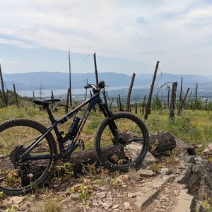 2017 Kona Big Honzo Blue