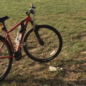Trek Marlin Red