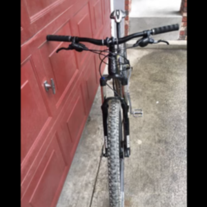 2013 Giant Trance X 29er 2 Black, Silver, gray or bare metal, and Yellow or Gold