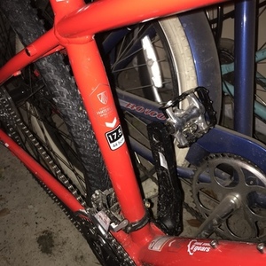 2016 Trek Dual Sport 8.4 Red