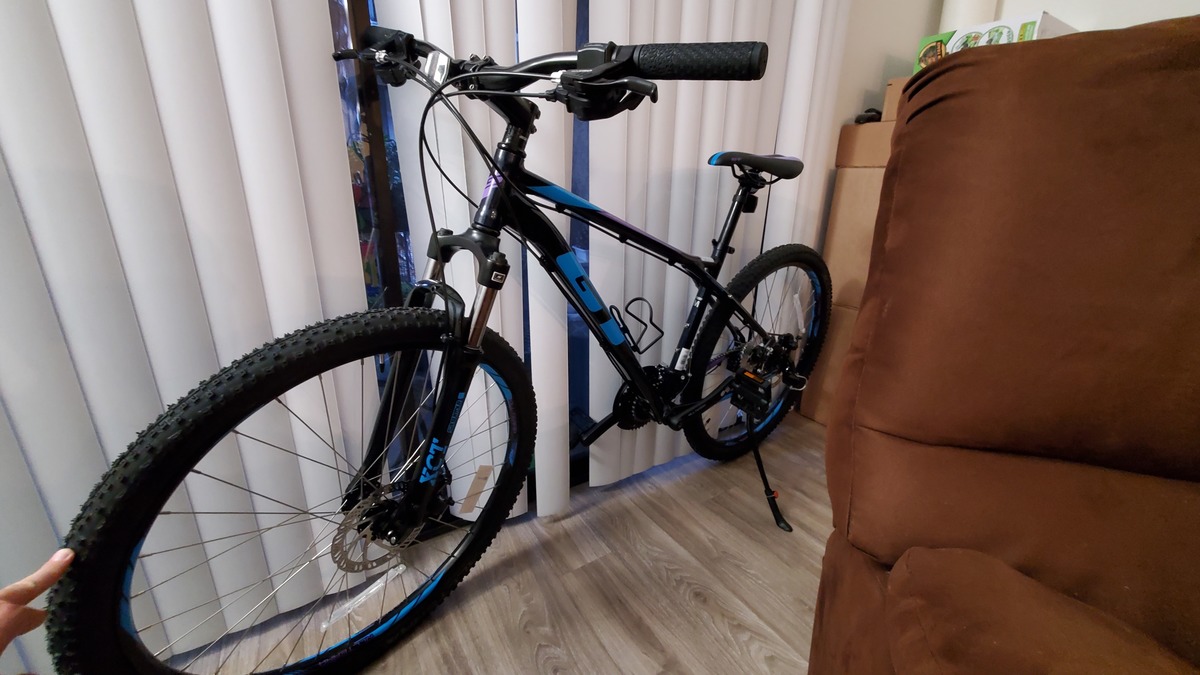 2021 GT Bicycles GT Laguna