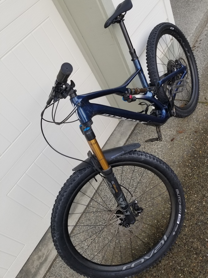 2019 stumpjumper pro