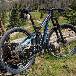 2016 Niner WFO Black