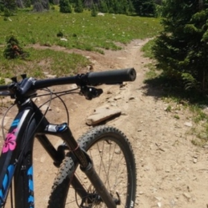 2016 Niner WFO Black