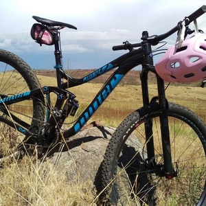 2016 Niner WFO Black