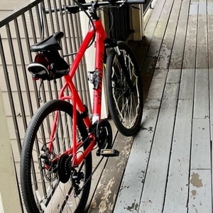 2020 Specialized Crosstrail Red